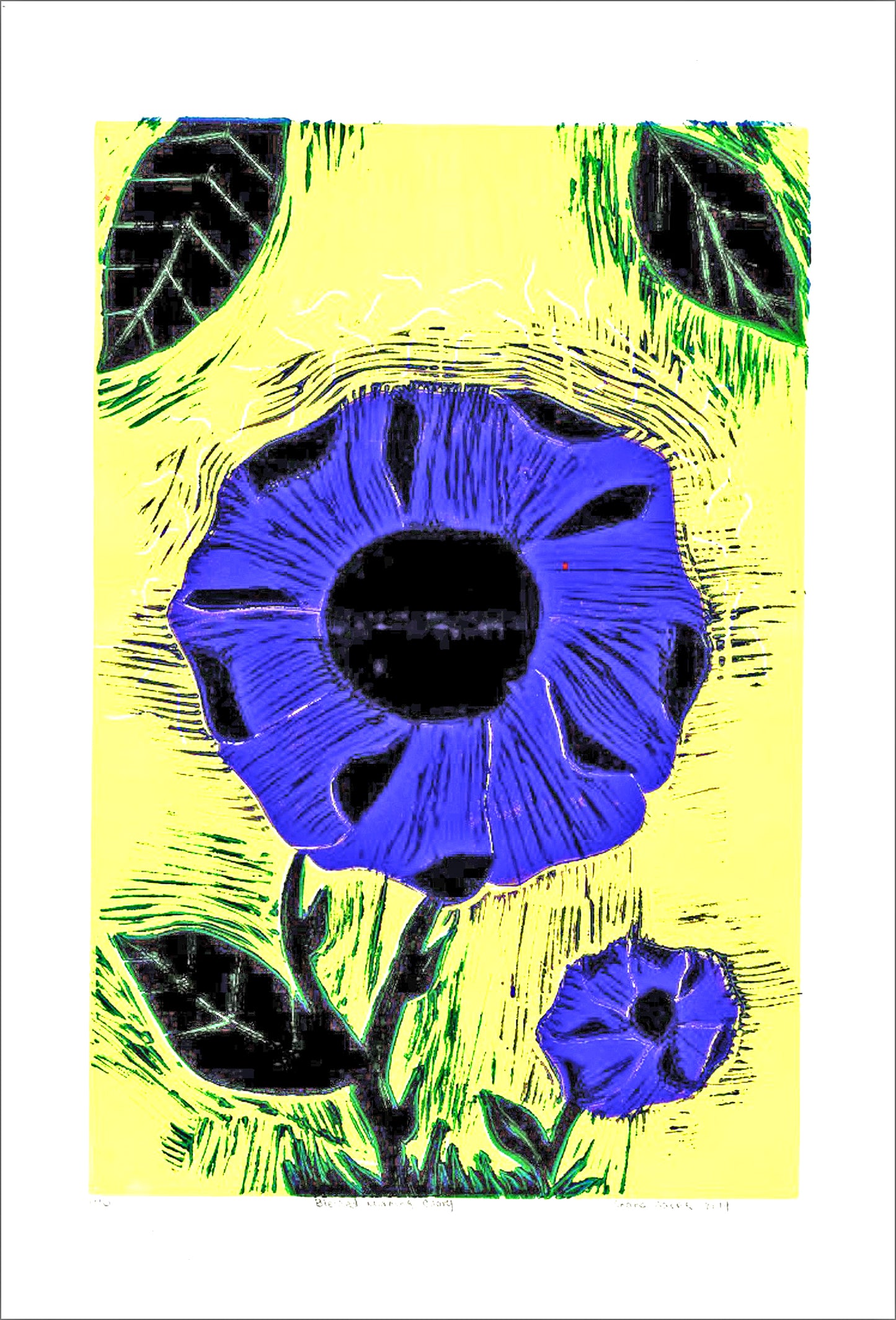 Blessed Morning Glory (D9716)