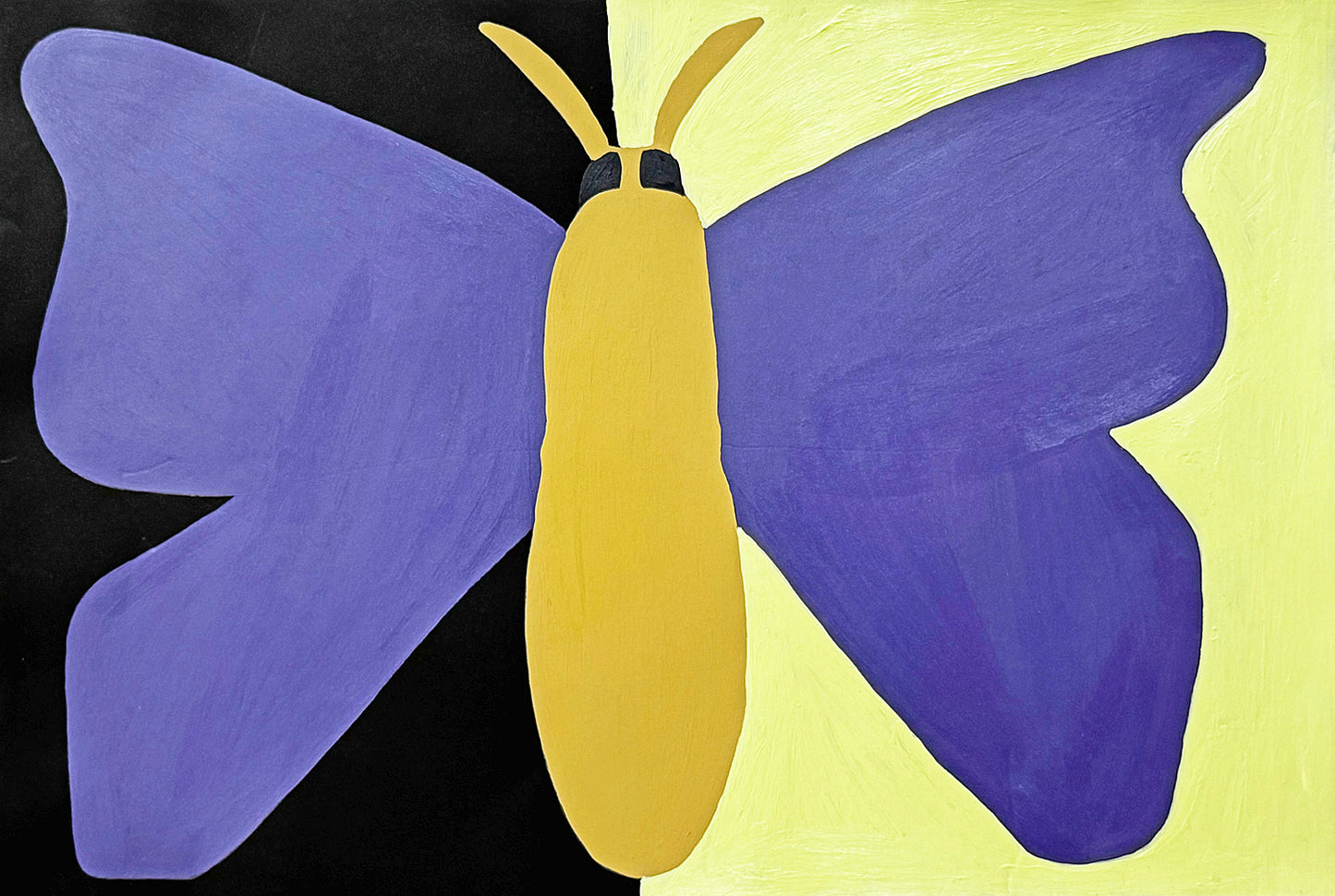 Monster Moth (D2425)