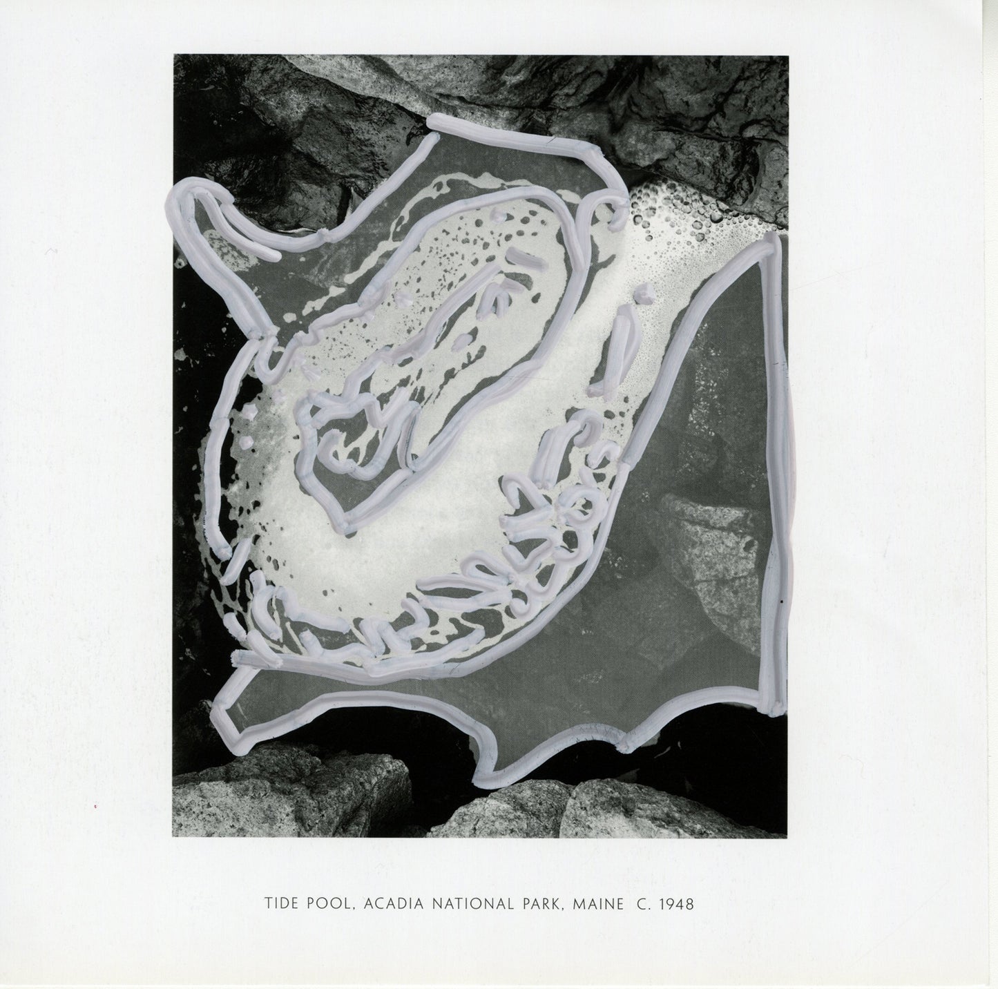 Black and white photograph of a tide pool with white outline marks, and labeled "Acadia National Park, Maine, 1948."