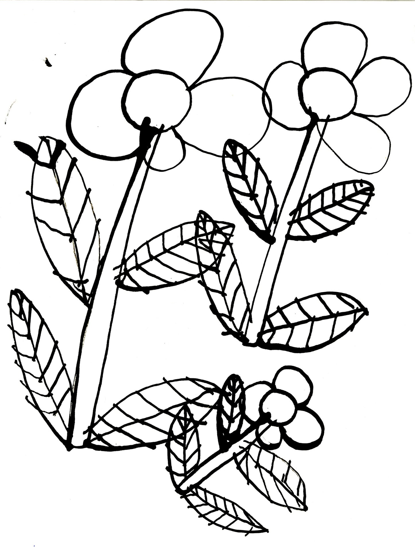 Black-and-white line drawing of three simple flowers with rounded petals and long stems, surrounded by patterned leaves with diagonal vein lines. A smaller flower cluster appears near the bottom right.