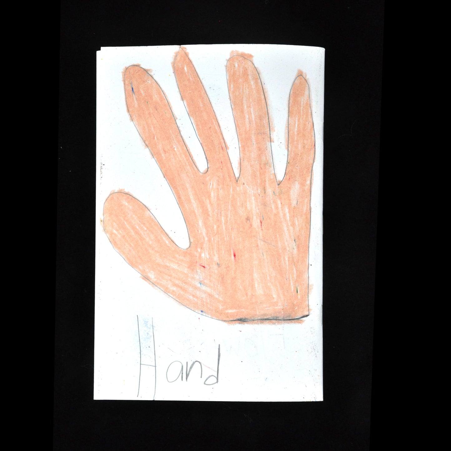 Libro de artista (D0673)