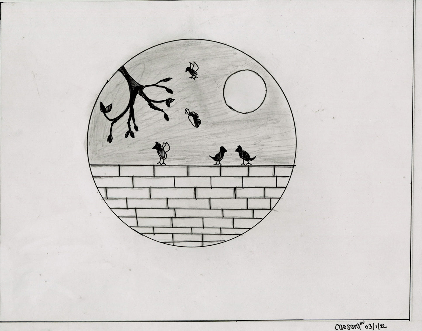 Drawing on white paper. In a circle at center, several birds are perched on a brick wall under the moon, with a tree branch coming into the frame on the left.