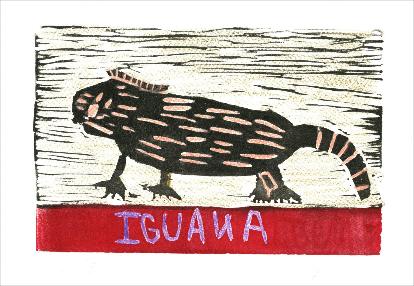 A black iguana in profile, with red lines throughout, against a black and white horizontally lined background. Underneath the iguana is a red bar with the word IGUANA spelled out in purple capital letters.