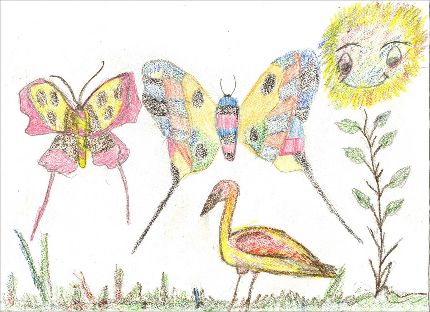 Mariposa, pájaro y flor (D3572)