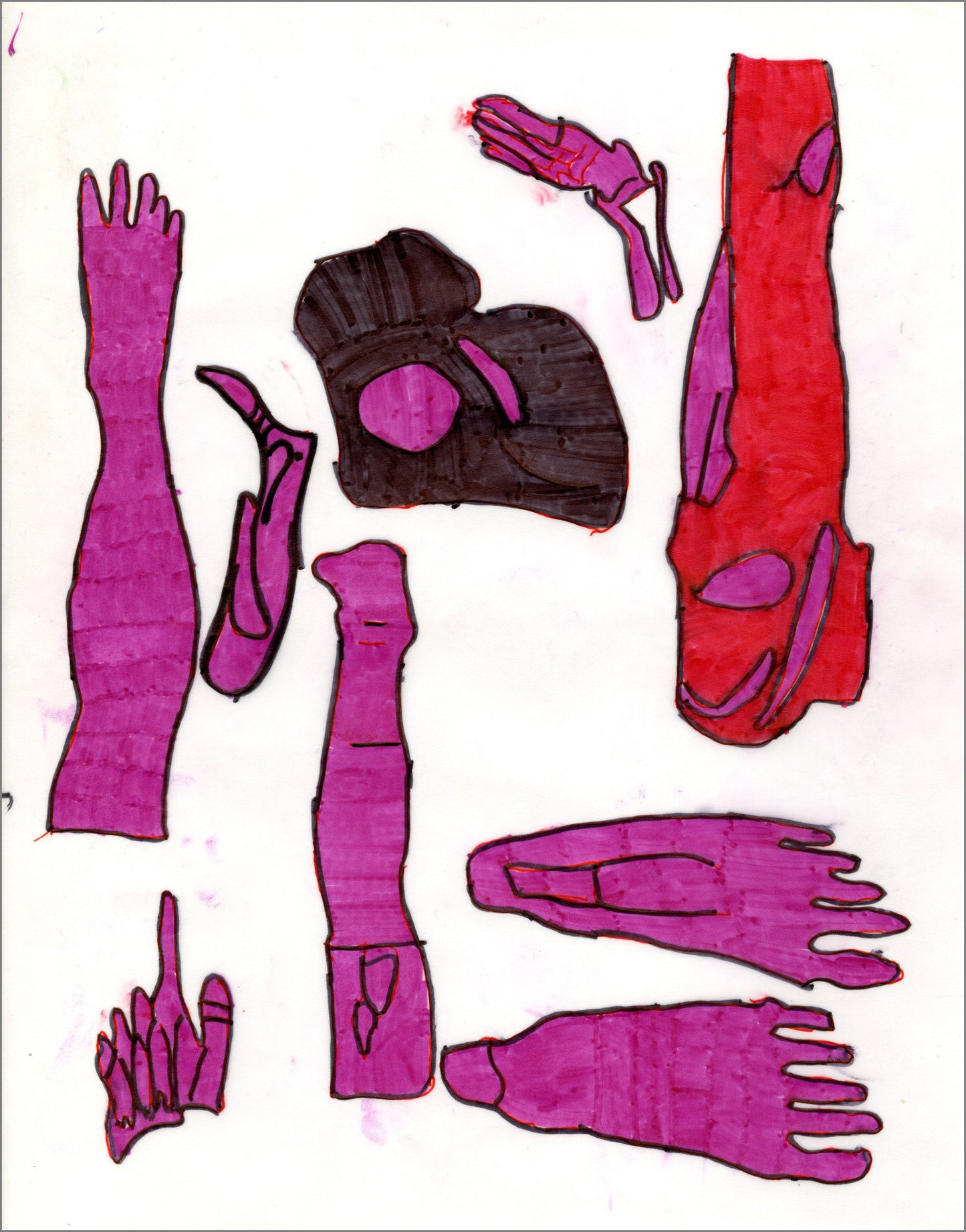 A marker drawing on paper. Tracings of legs, feet, and hand bones and musculature from an anatomy book are arranged on the page and colored with bright red and purple markers.