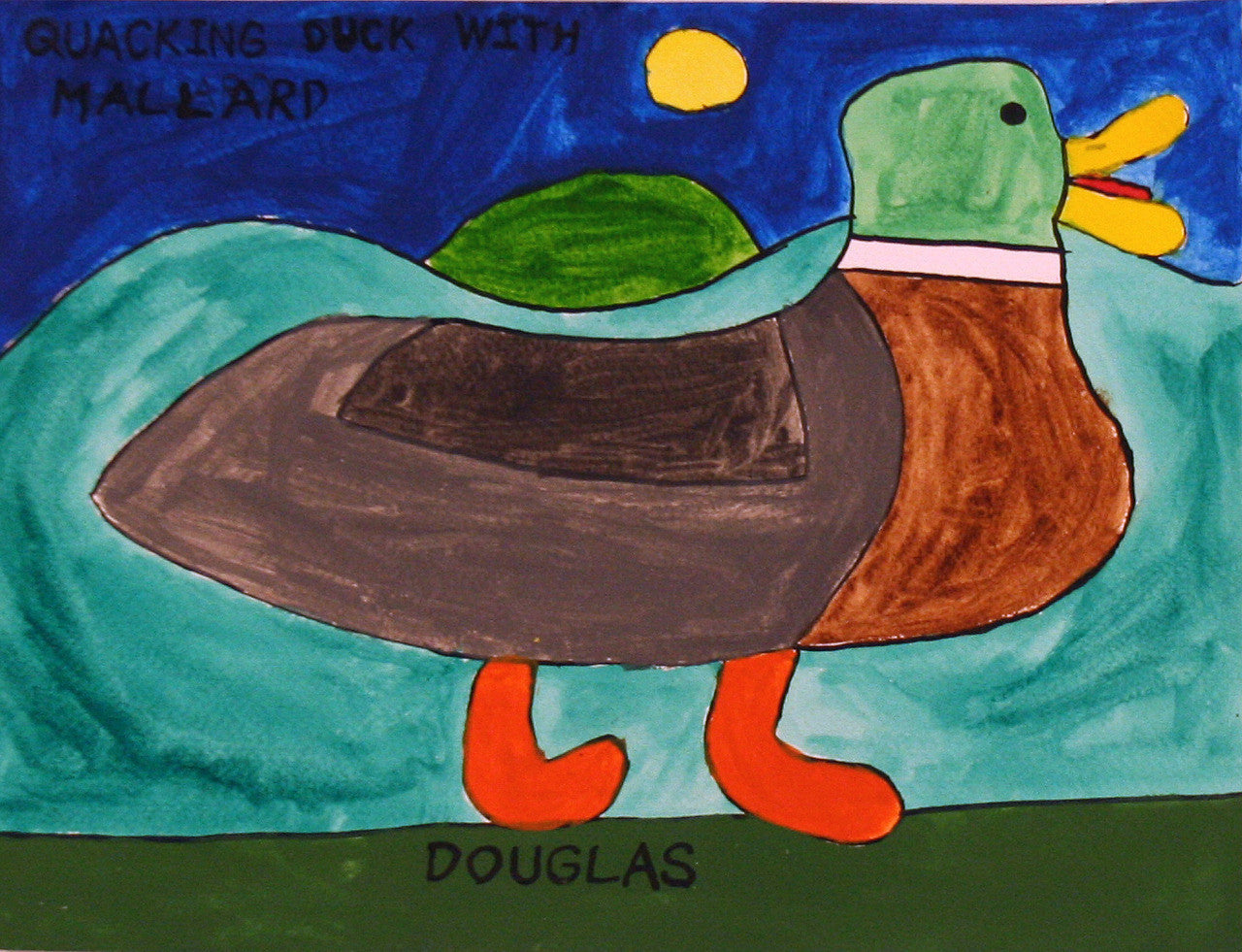 A watercolor painting on paper of a mallard in front of teal and green rolling hills. There is dark blue sky with a yellow sun in the sky above it, and text in the sky reads "quacking duck with mallard." The ground the duck stands on is dark green, and there is black text that says "Douglas".