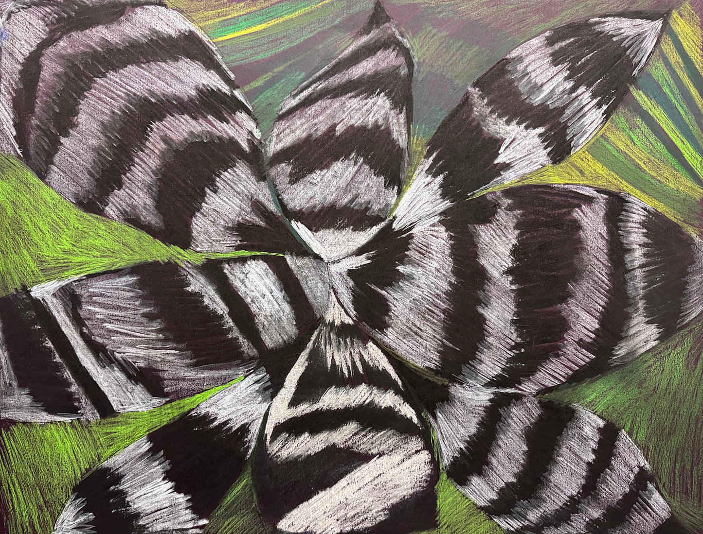 Artistic depiction of a flower with zebra-like stripes on a green and black background. 