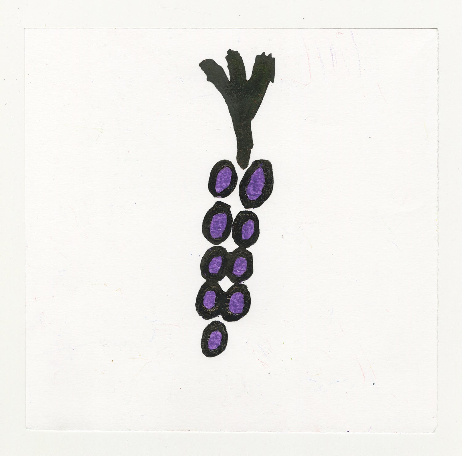 A drawing of a cluster of purple grapes detached from the stem against a white background. The grapes are organized in a formation that mimics a group of grapes that are still attached to the stem.