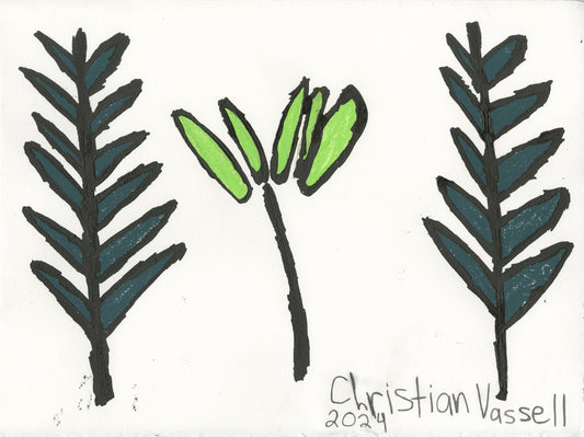 a painting on white paper. The image features three ferns arranged side by side. The central fern has a long black stalk and 5 little light green leaves fanned out from the top. This fern is flanked on either side by identical taller ferns. These ferns have dark green leaves that sprout up and down the length of their stalks. Each leaf is also outlined in thick black paint. The artist has signed and dated the drawing in the bottom right corner, "Christian Vassell 2024"