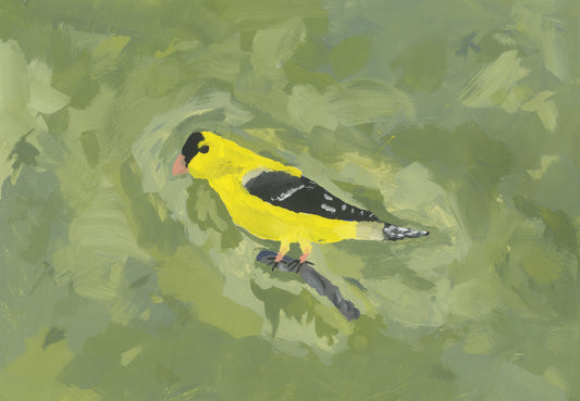 Goldfinch (D2207)