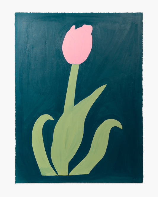 Tulip (D2427)