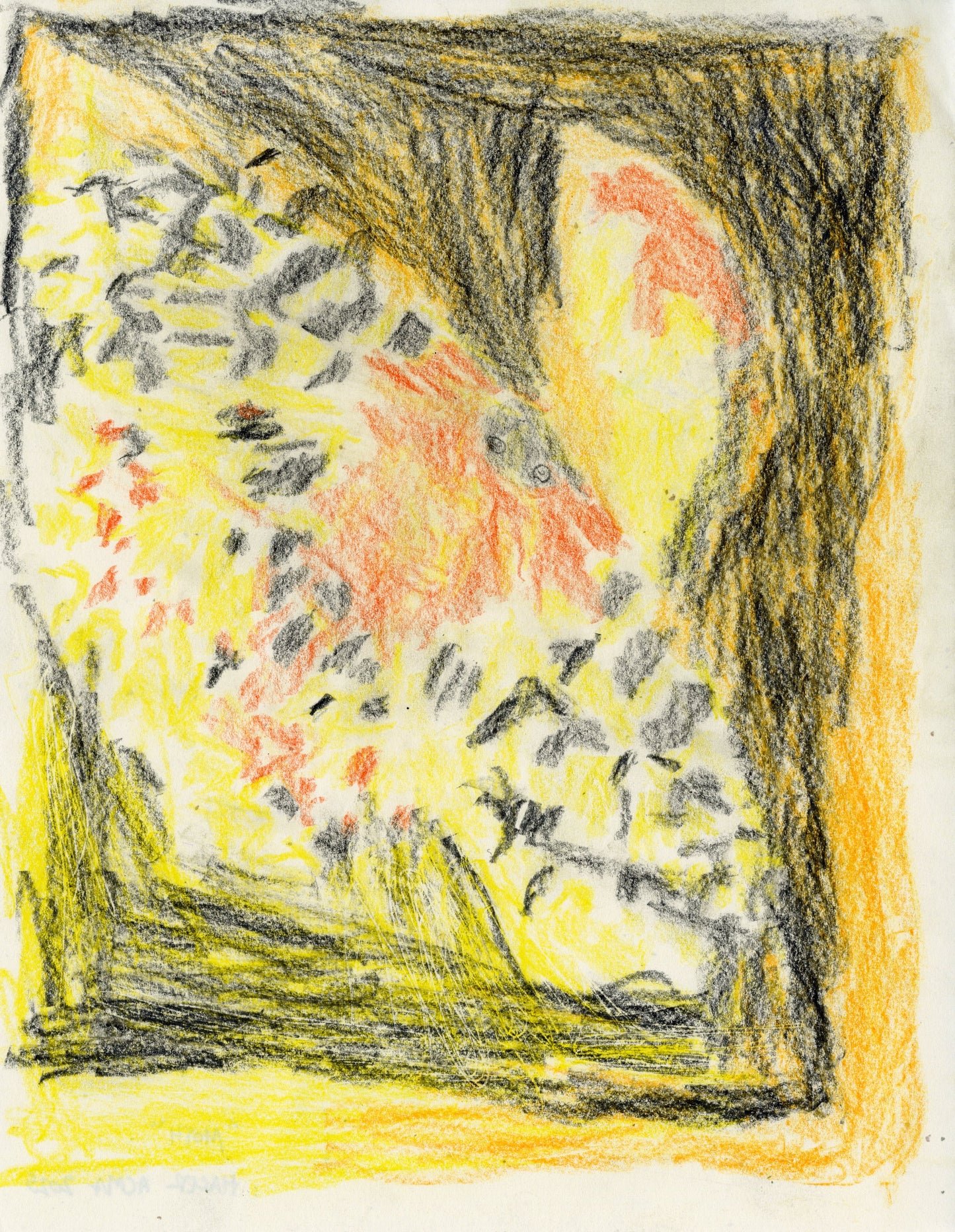 Untitled [Moth] (D2510)