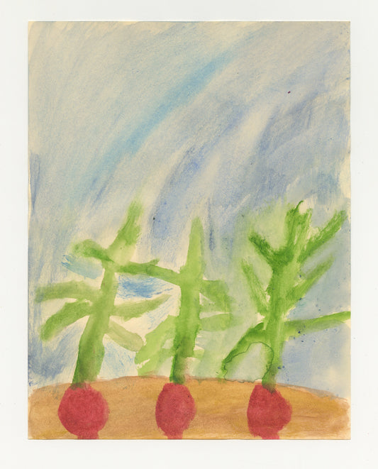 Watercolor painting of three radishes that are planted in the soil. The radishes are side by side to form a horizontal row at the bottom of the piece, with green leaves that protrude from the soil against a light blue background.