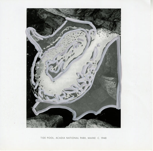 Black and white photograph of a tide pool with white outline marks, and labeled "Acadia National Park, Maine, 1948."