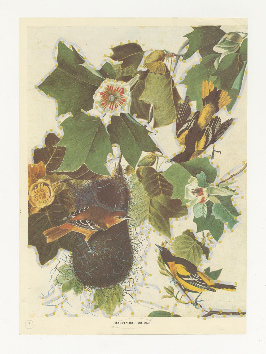 This mixed media piece incorporates gold and grey elements on a found magazine page. The magazine page contains a photograph of a floral arrangement with three birds. The flowers and leaves are outlined with grey and gold details. 