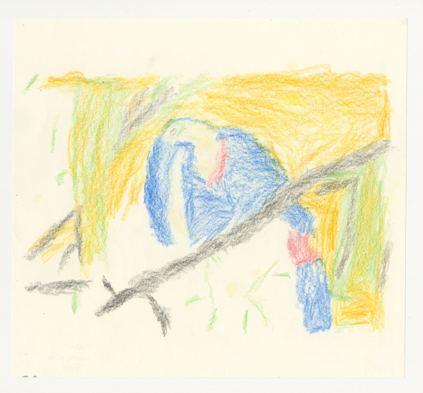 A vibrant color pencil drawing of a bird perched on a branch against a white background.