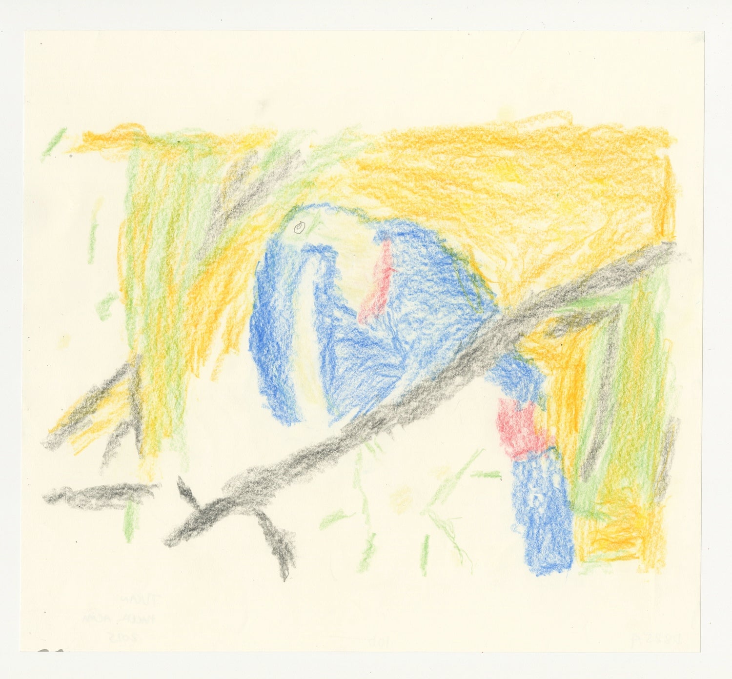 A vibrant color pencil drawing of a bird perched on a branch against a white background.