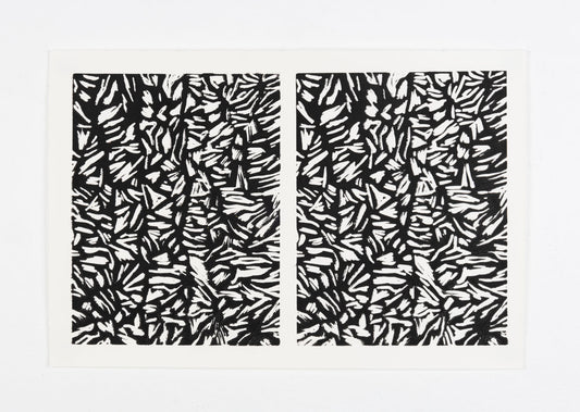 An abstract black and white artwork composed of two rectangular panels side by side. Each panel is densely packed with irregular, fragmented shapes that resemble sharp, jagged shards. There is a high contrast between the black background and the white shapes, creating a dynamic and energetic pattern that covers most of the surface.