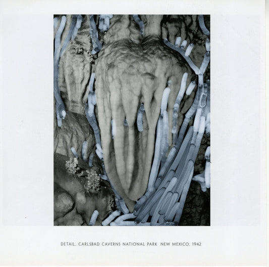 A black and white photograph by Ansel Adams depicting a section of stalactites and stalagmites in Carlsbad Caverns National Park, New Mexico. The natural formations are prominently displayed, showcasing their intricate textures and organic shapes. The surface of these formations is marked with ridges and grooves, giving a sense of their rough texture. Over the photograph, there are grey acrylic marker marks, adding an overlay of vertical strokes and lines.