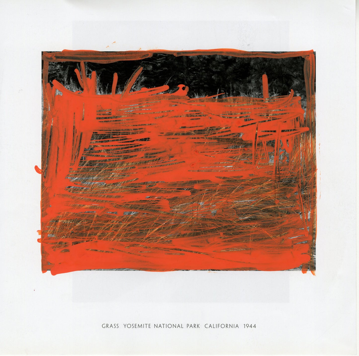 Abstract artwork with orange marker strokes on a white background, labeled "Grass Yosemite National Park California 1944."