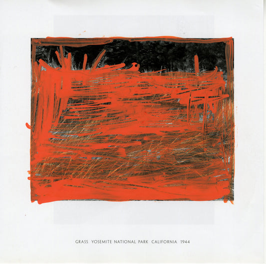 Abstract artwork with orange marker strokes on a white background, labeled "Grass Yosemite National Park California 1944."