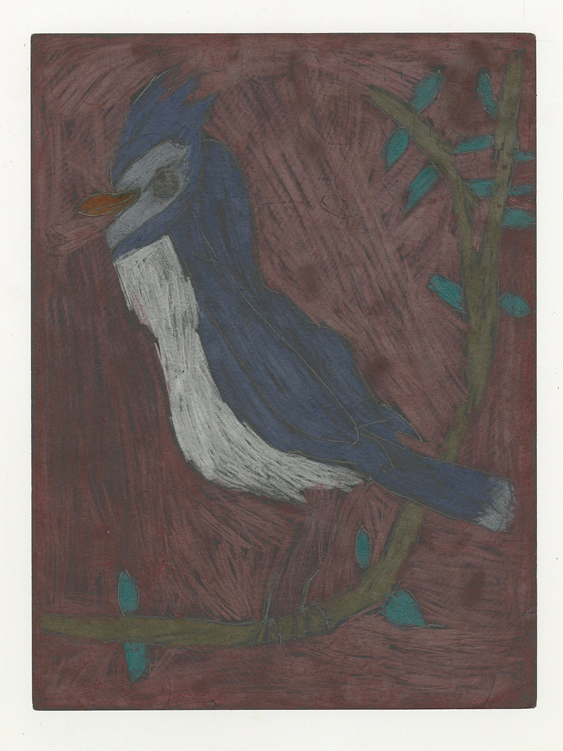Untitled [Blue Jay] (D9898)