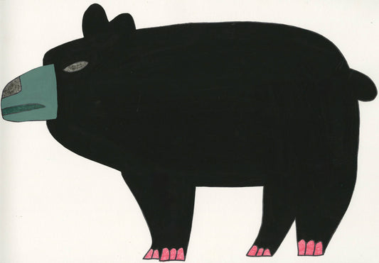 American Black Bear (D9957)