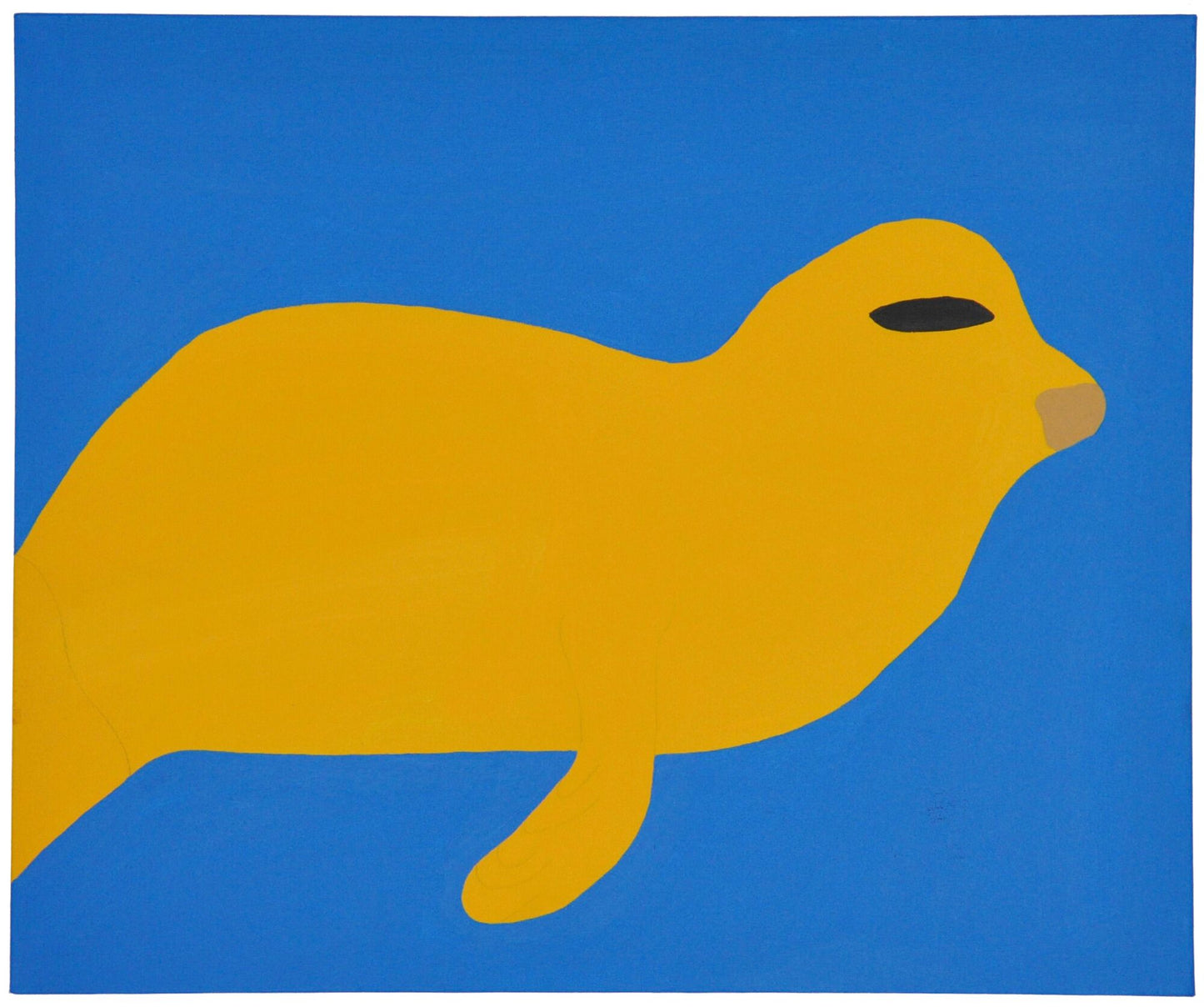 Leopardo marino (P0364)