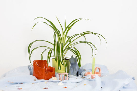 An installation including an orange ceramic armchair; pink ceramic foot stool; blue ceramic cat; pink candle holder, light green pot and plate with spider plant 