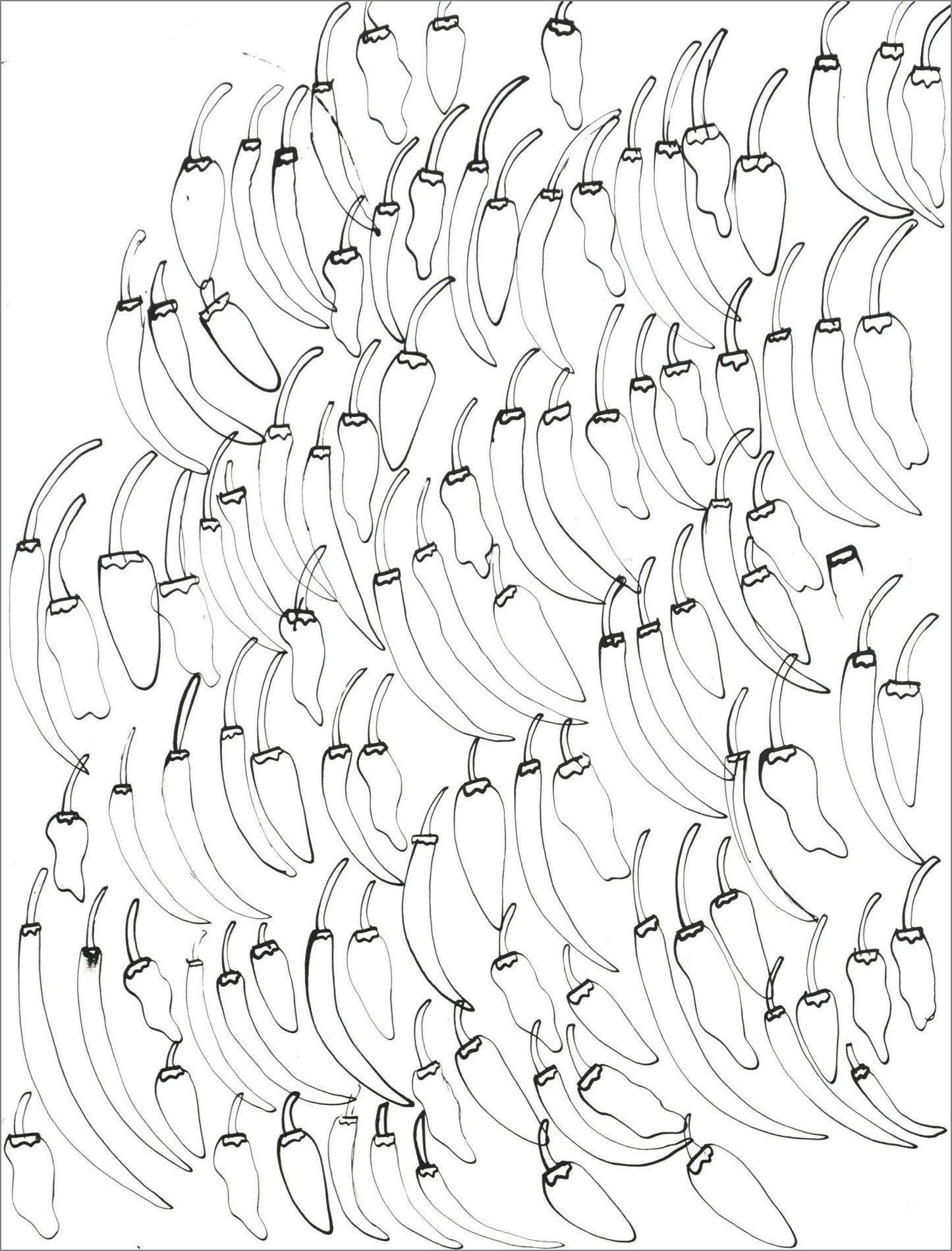 Fruits and Vegetables Collection by Jeremy Burleson