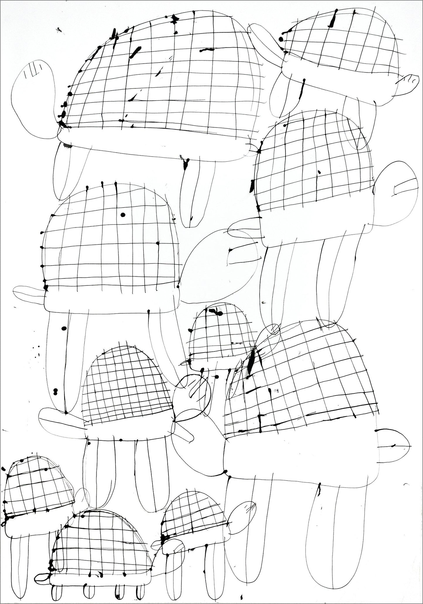 Tortugas (D2083)