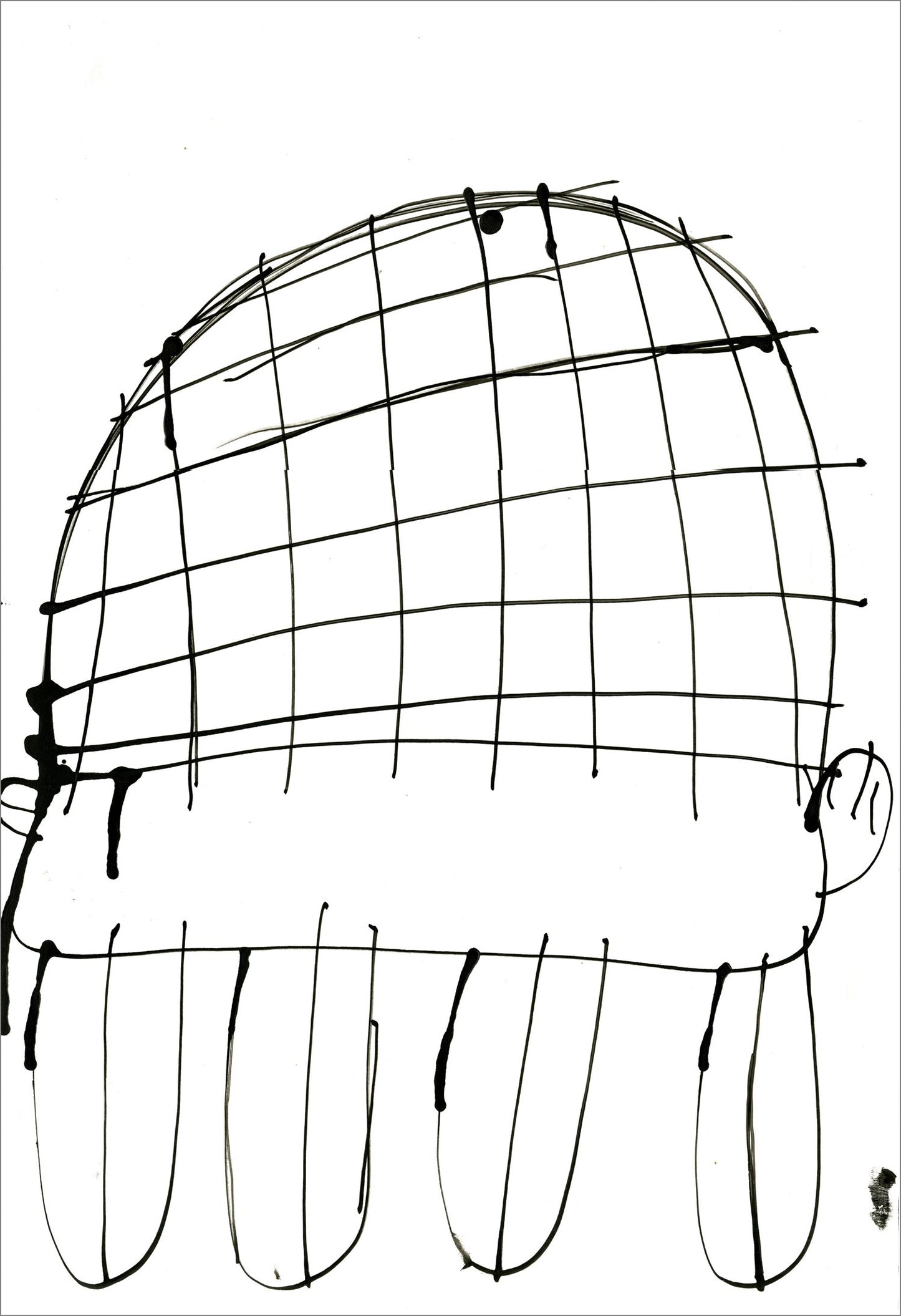 Tortugas (D2083)