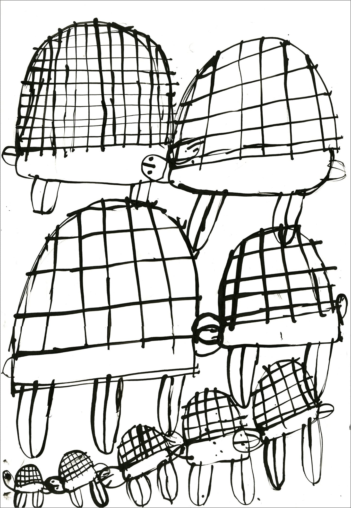 Tortugas (D2083)