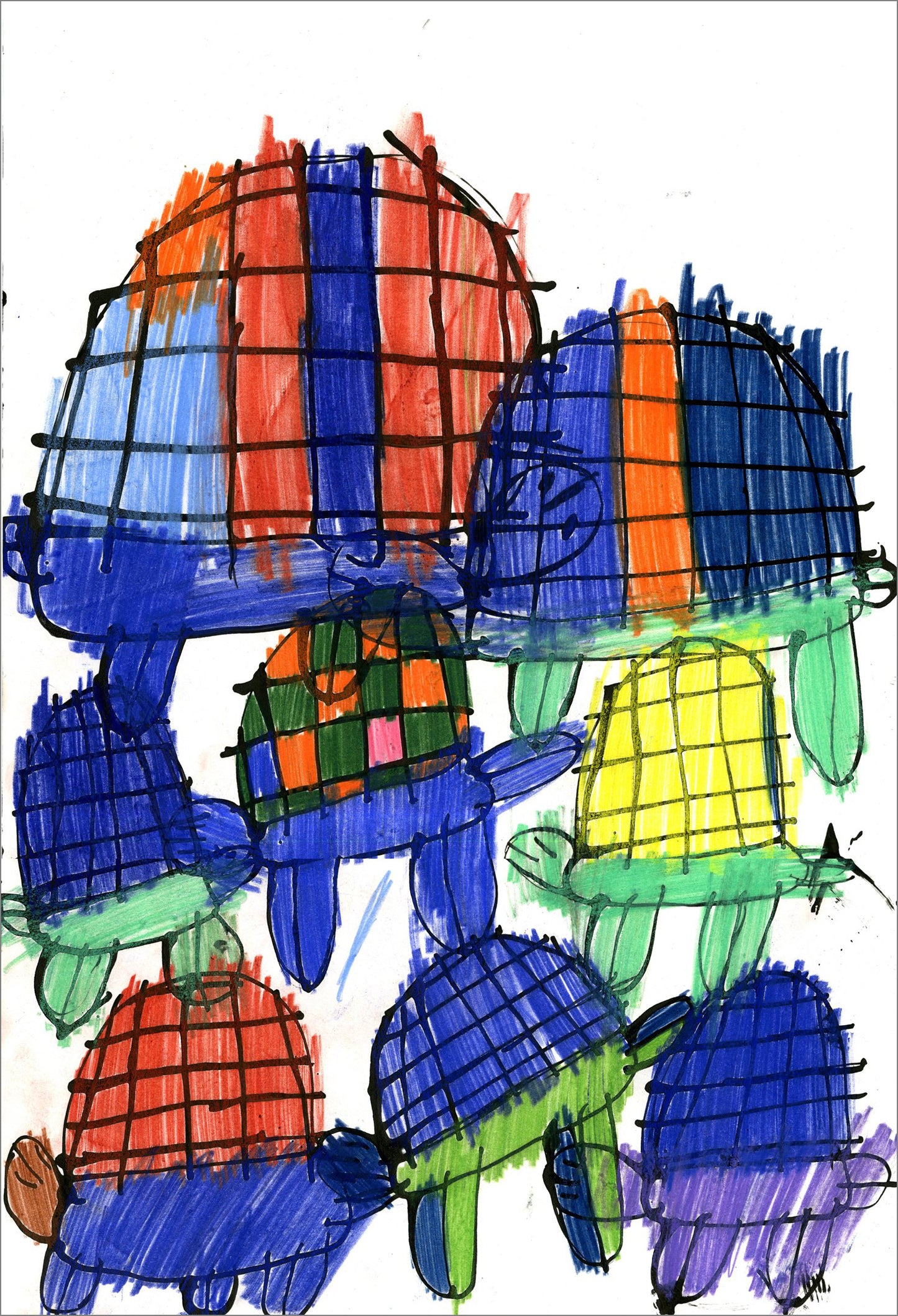 Tortugas (D2083)
