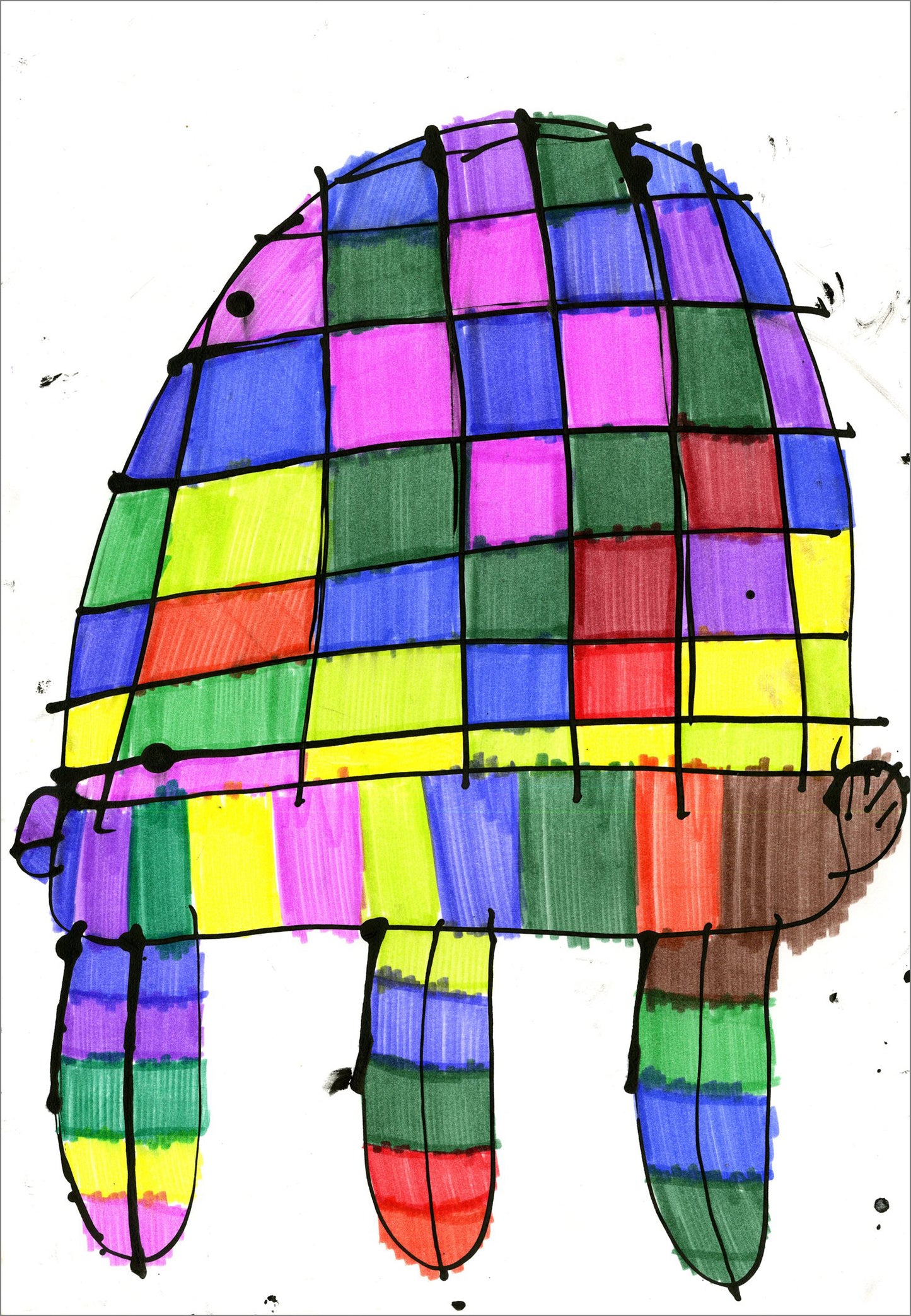 Tortugas (D2083)
