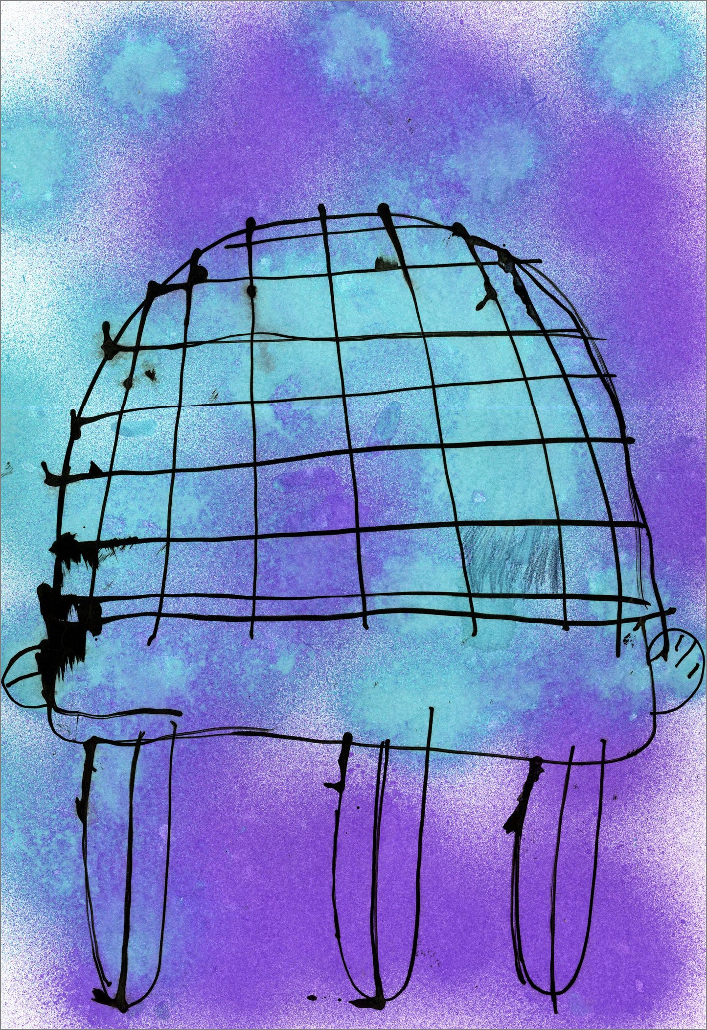 Tortugas (D2083)