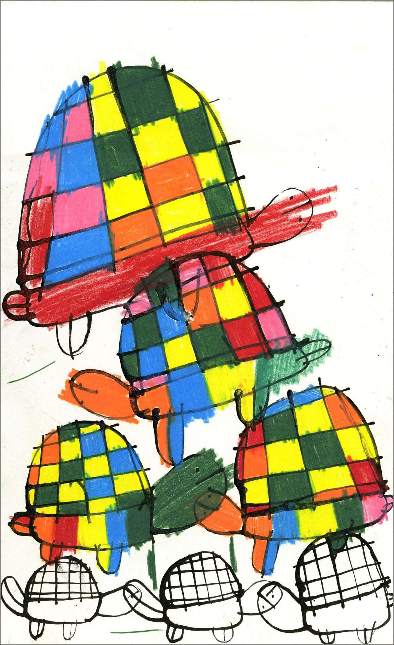 Tortugas (D2083)