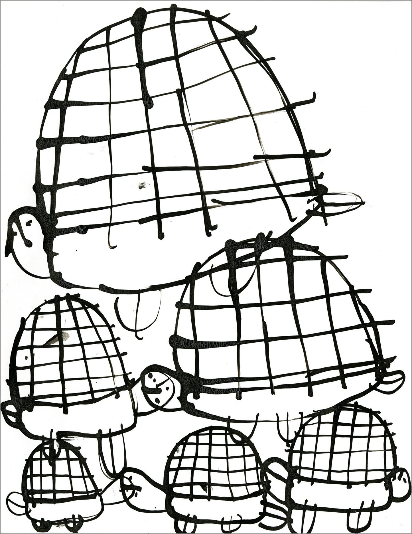 Tortugas (D2083)