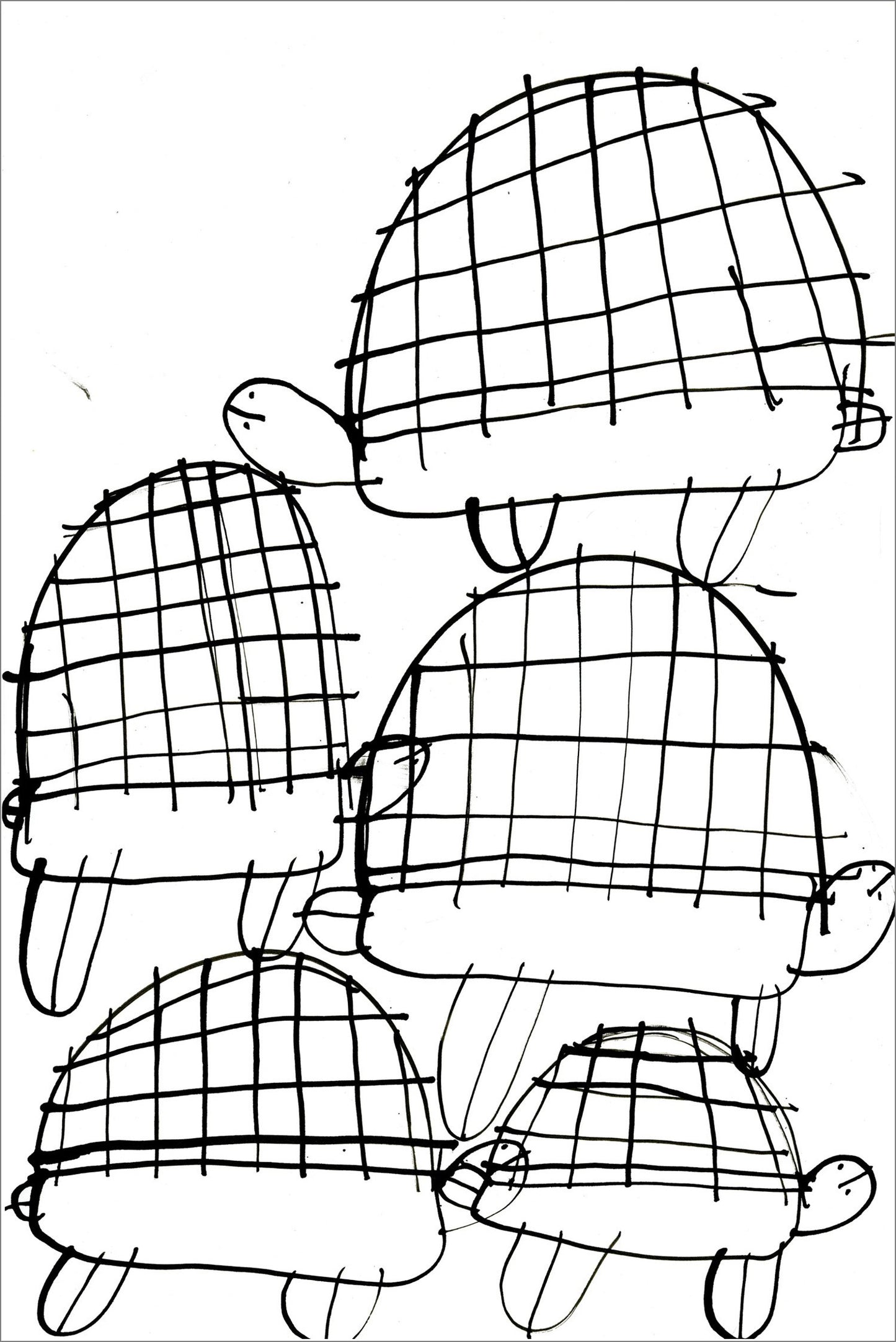 Tortugas (D2083)