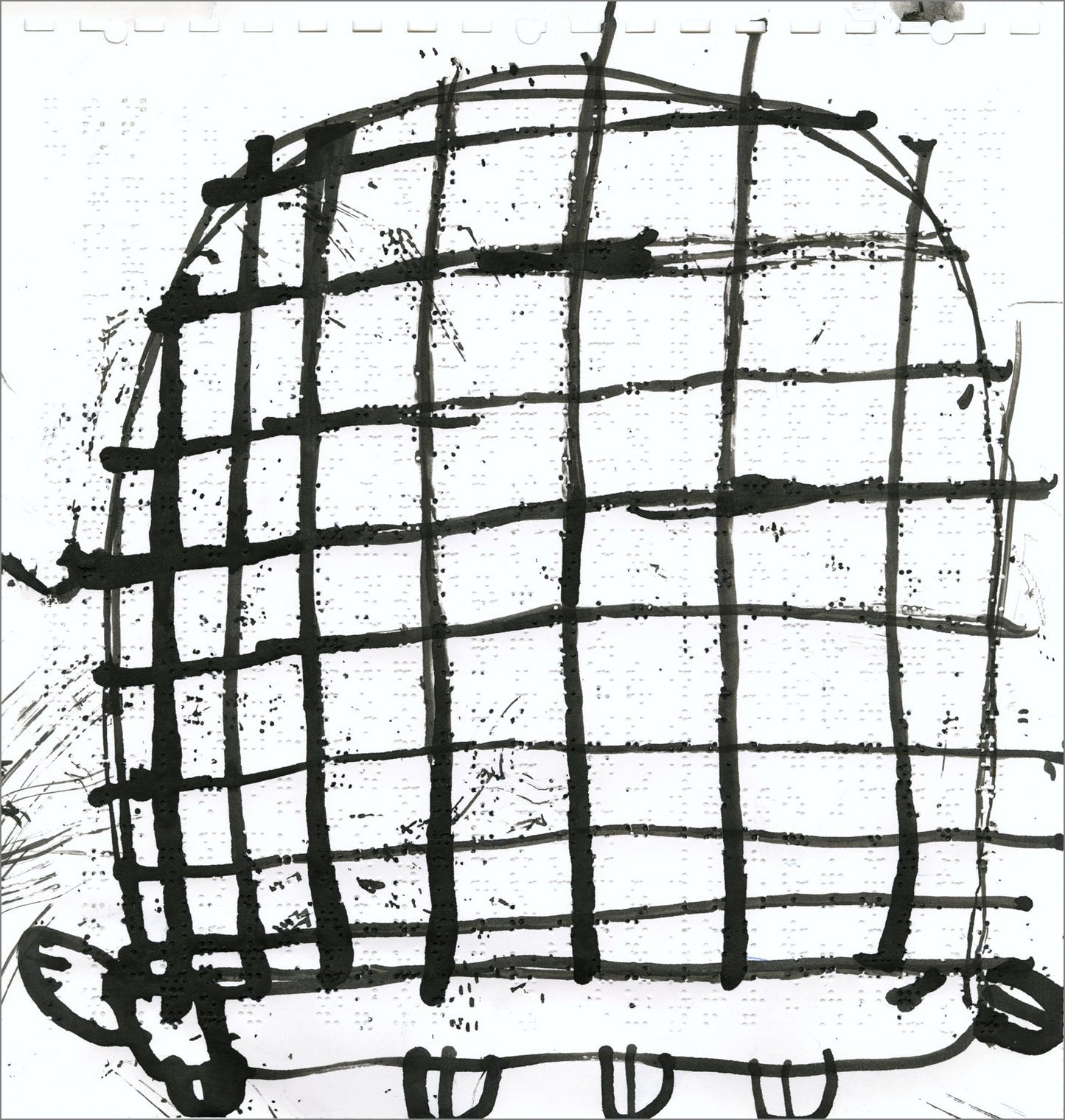 Tortugas (D2083)