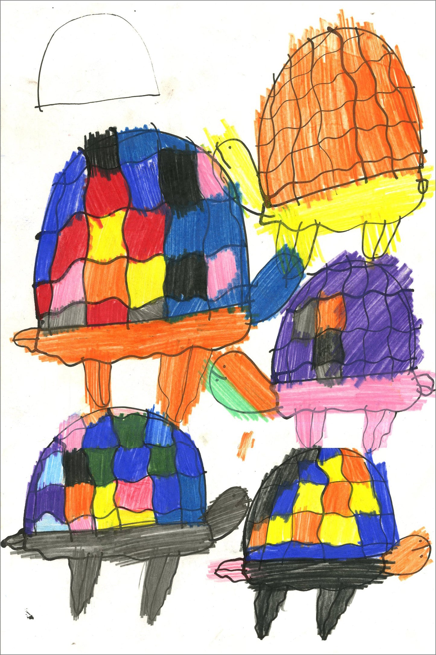 Tortugas (D2083)