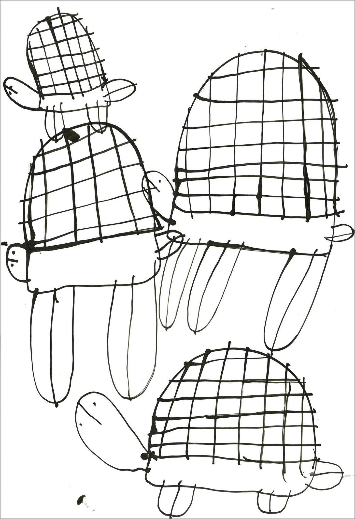 Tortugas (D2083)