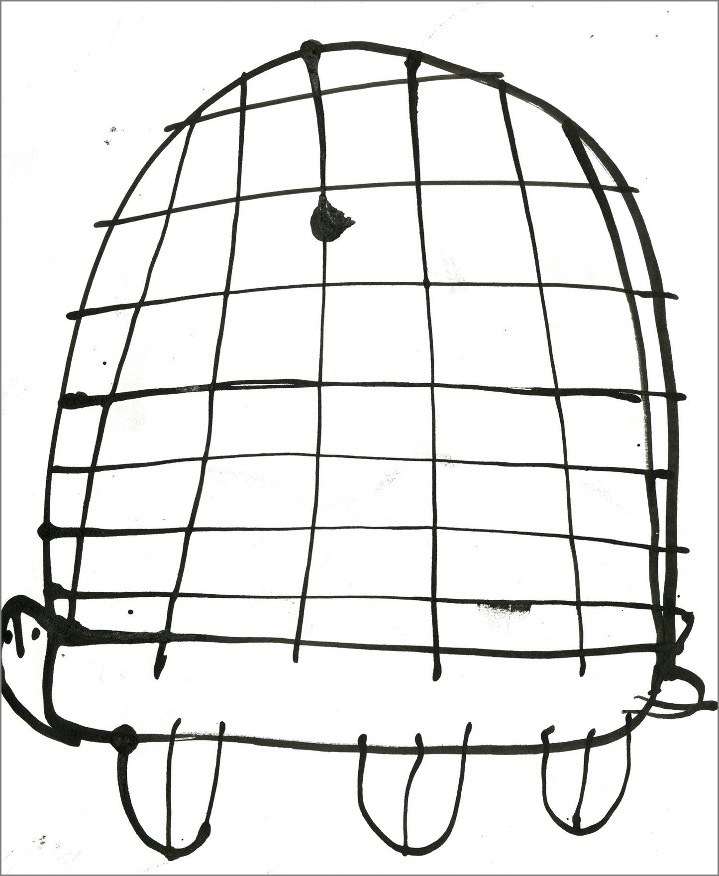 Tortugas (D2083)