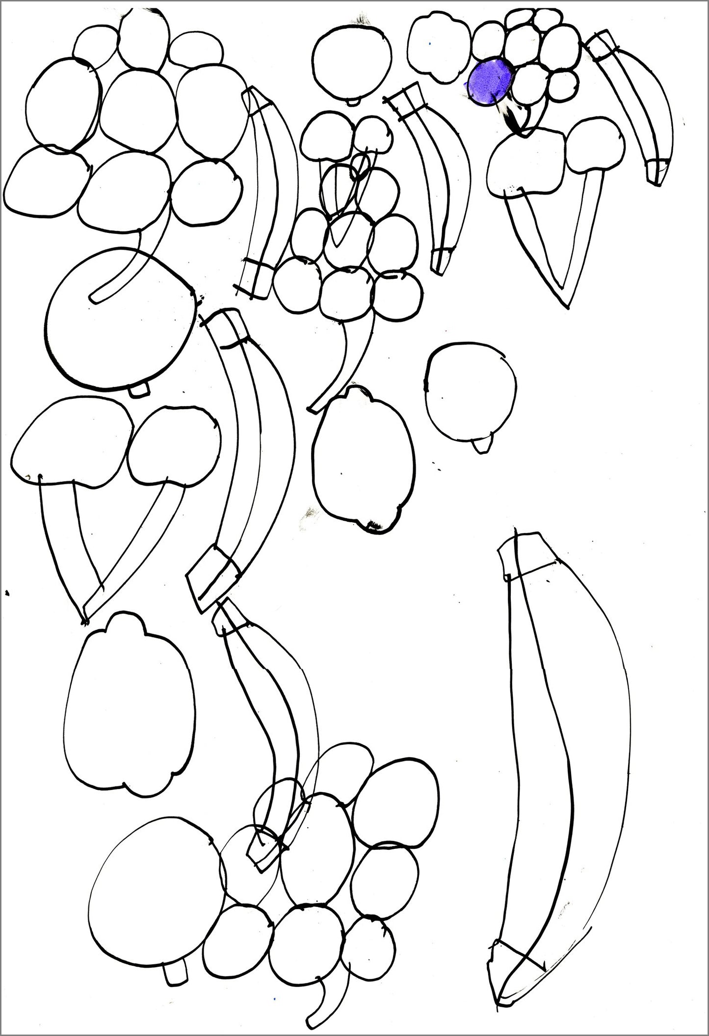 Fruits and Vegetables Collection by Jeremy Burleson