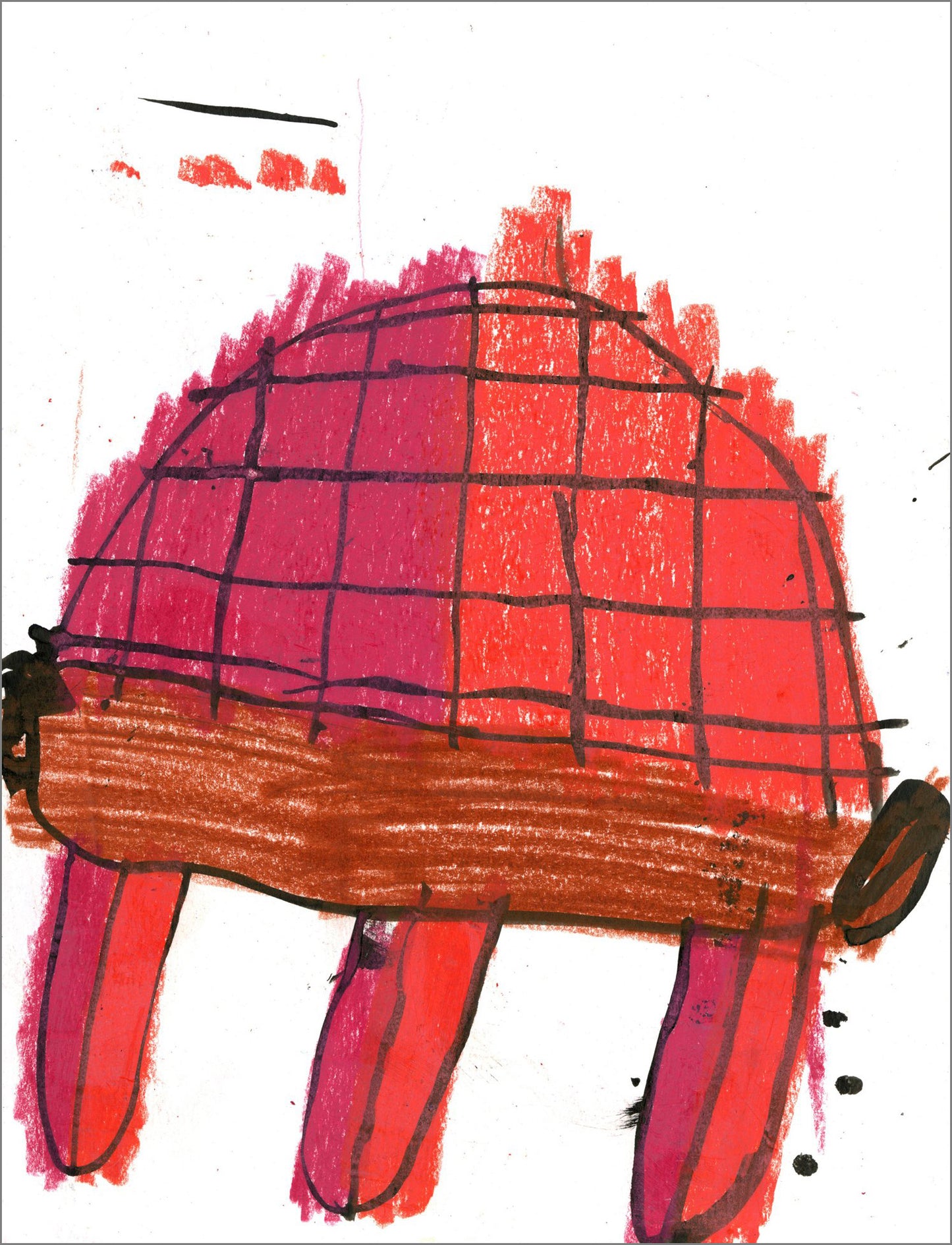 Tortugas (D2083)