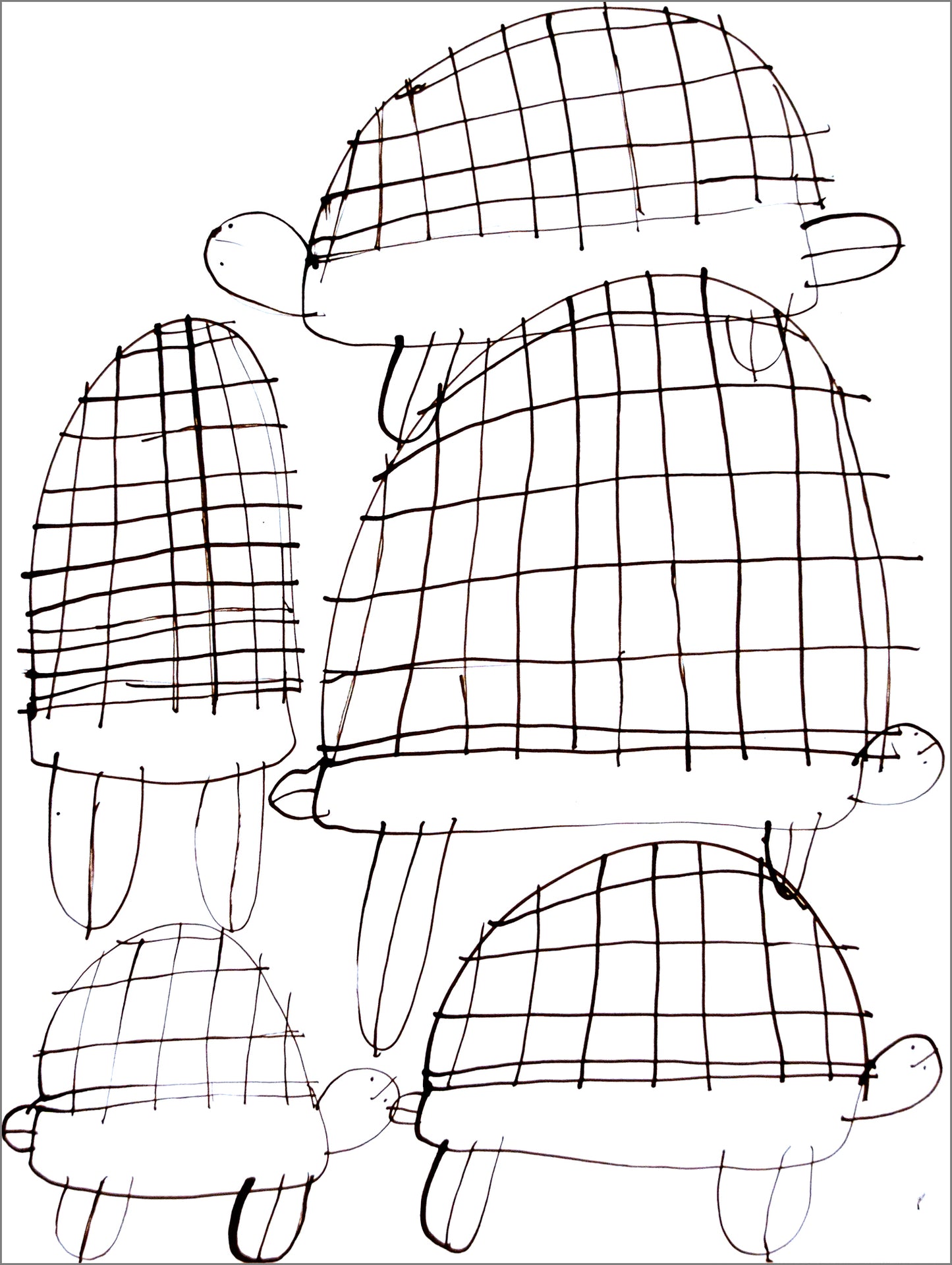 Tortugas (D2083)