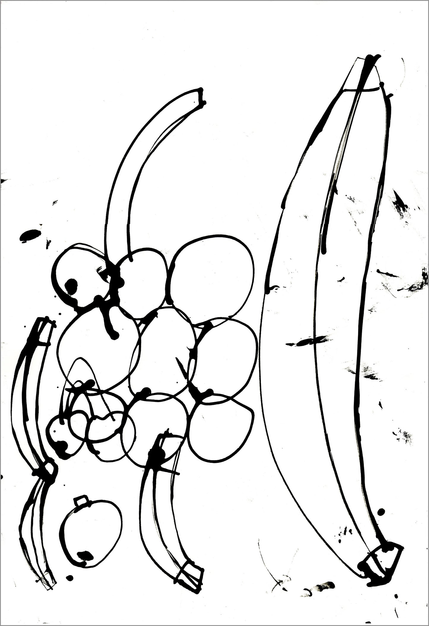 Fruits and Vegetables Collection by Jeremy Burleson