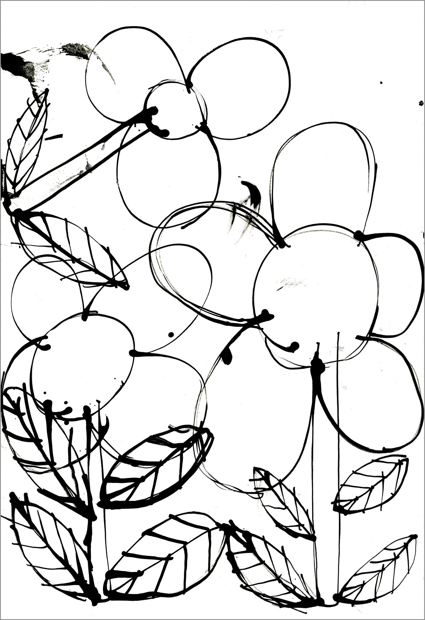 Black-and-white line drawing of several flowers with round petals and long stems surrounded by pointed leaves. The flowers overlap in a loose, sketchy composition with thin and thick black lines.