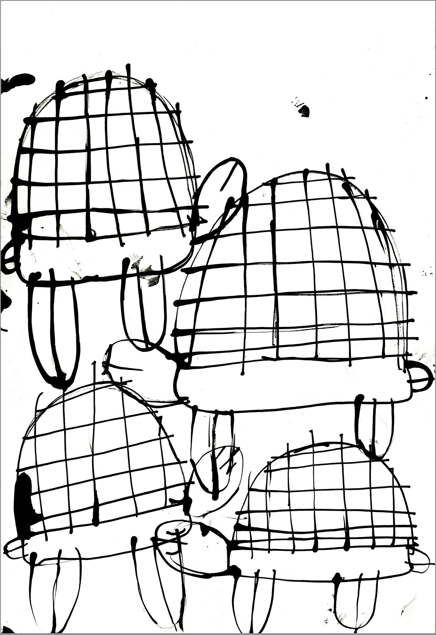 Tortugas (D2083)