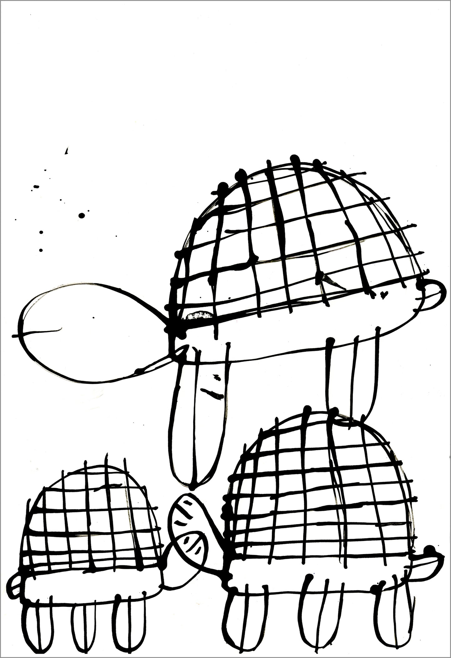 Tortugas (D2083)